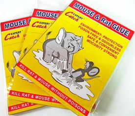 廠家直銷環保外貿粘鼠膠板——義烏市綠亞日用品廠，一站式采購指南