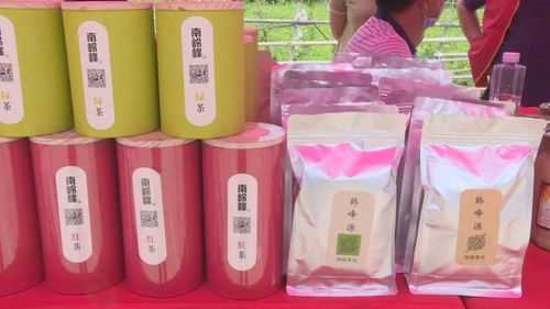 南嶺鎮消費扶貧展銷會圓滿落幕，農特產品及紡織品銷售成果顯著